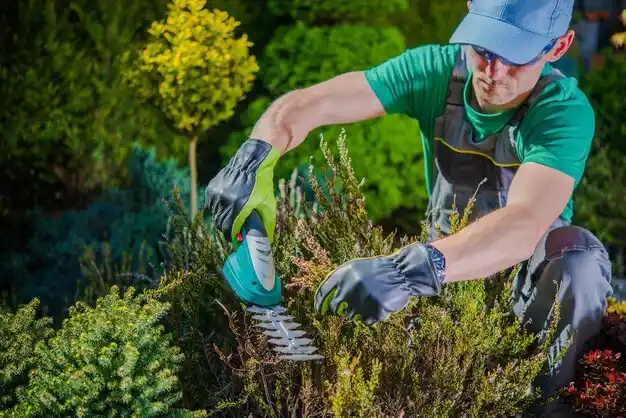 landscaping services Elmore